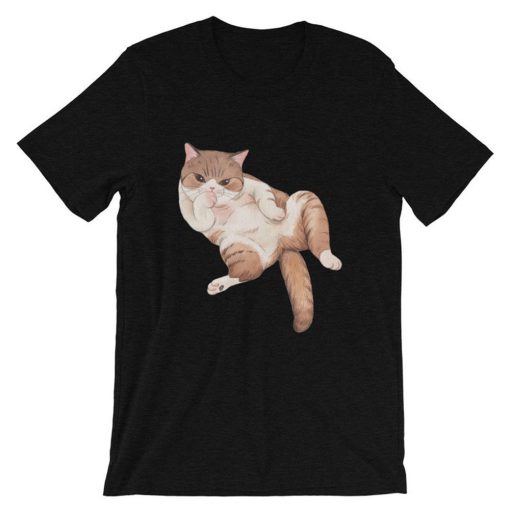 Kapook Cat T Shirt
