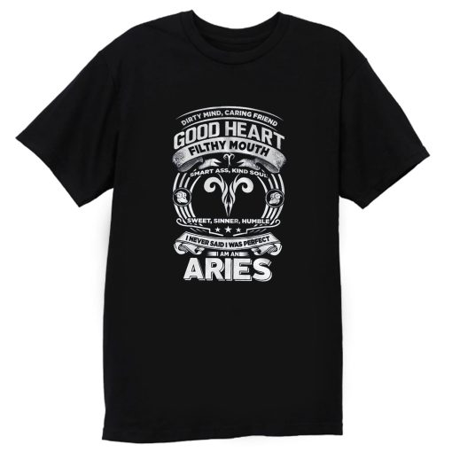 Aries Good Heart Filthy Mount T Shirt