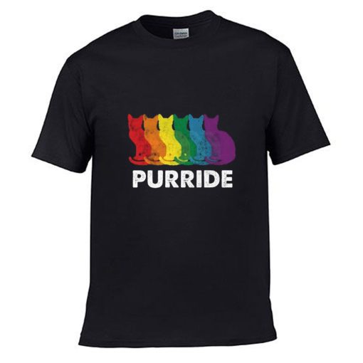Funny Gay Pride Cat LGBT Purride T Shirt