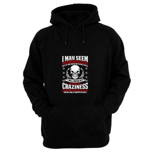 May Seem Calm And Reserved Hoodie