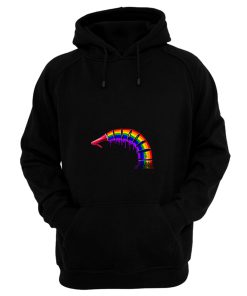 Musical Record Rainbow Hoodie