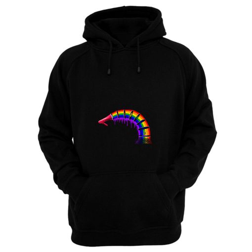 Musical Record Rainbow Hoodie