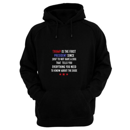 Anti Trump Election 2020 Hoodie