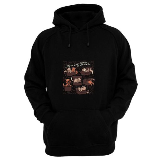 May You Always Be Happy Cs A Cat In A Box Funny Cats Hoodie