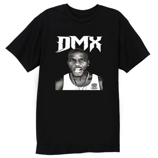 Rapper Dmx Funny Birthday T Shirt